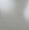 初の恐竜大辞典１ページ目？！と、テンプレート変更