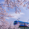 万葉線の桜電車