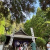 妙円寺詣り