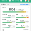 【マイナス15キロ】100日ダイエット51日目🌉きんに君と一緒に頑張る