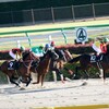 【フェブラリーS】エンペラーワケアは1枠1番で絶望？過去10年0勝のデータと克服のヒント