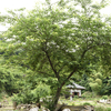 華蔵院の謎
