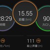 【日報】11月25日 　帰宅ラン　15.5km