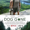 実話ベースの犬探し きっと見つける （2023年製作の映画）