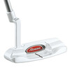 白いピン型！Rossa DAYTONA 1 GHOST パター TaylorMade！！