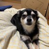 まろにー2613日目