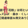 韓国語で「花粉」は何という？｜鼻がムズムズ・鼻水・くしゃみ…【関連単語＆例文あり】