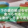 カステラの底の紙はなぜある？食べられる？上手な剥がし方まで完全解説