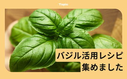 【バジルレシピまとめ！】「ナンプラー不要のガパオライス」や「バジルおひたし」でバジルをおいしく手軽にモリモリ食べる！