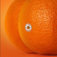 Emotional Oranges『The Juice Vol.Ⅱ』(2019)｜匿名性の官能、夜を彩るグルーヴ