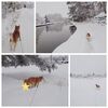 重ねて かみ雪が降ったぞ〜