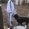 輪島氏とかいぼり