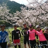 日曜朝練は桜ride