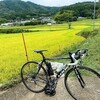 北へ向かうものの、またまた雨雲に北上を阻まれて、宝塚へジェラートを食べに行くの巻