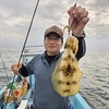 山海　英造丸さんにてボートアオリイカ釣行してきました！