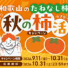 【懸賞情報】毎日食べたい！和歌山のたねなし柿 秋の柿活キャンペーン 買って応募!!