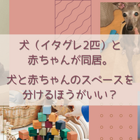 犬と赤ちゃんが一緒に暮らす おすすめの便利家電 便利グッズをご紹介 陽だまりの庭で 絵本 子育てブログ