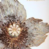 ルネラリック(Rene Lalique) ケシの花 [記念展]