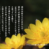 こころの道しるべ（204）過去への評価