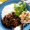 ドライキーマカレー