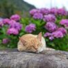 少しだけ濡れた