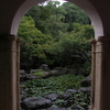 雨の翠色（すいしょく）　　大山崎山荘美術館