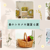 お部屋に春を連れてくる、ときめき雑貨6選。