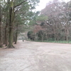 下鴨神社