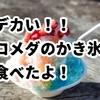デカい！と驚くコメダのかき氷を食べたよ！いつまで＆口コミ調べ！