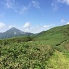 夏山シーズン