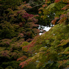 紅葉まだはやい高野山へ。コロナ後の高野山の情景。