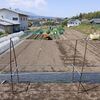 実家の畑で農作業でした