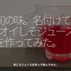 994食目「旬の味。名付けて[ オイしそジュース ]を作ってみた。」赤じそジュースを作って飲んでみた。