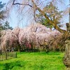 水曜日、晴れ。