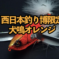 ダッジ　レイドジャパン　キープキャスト限定 レイドジャパン】2018年キープキャスト限定カラー「ダッジ 長浜