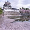 お堀は花の浮橋：富山城