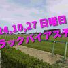2024,10,27 日曜日 トラックバイアス予想 (東京競馬場　京都競馬場　新潟競馬場)