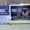 『岩合光昭 写真展 〜ねこ〜』in札幌三越2011。