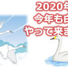 2020年晩秋 今年も白鳥がやって来ました