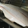 解凍しても刺身で食える魚の冷凍方法