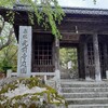 光前寺の葉桜