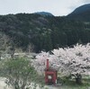 神山桜巡り