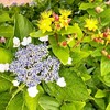 子供は全部わかっている
