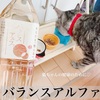 大好きな猫ちゃんのために！バランスアルファ