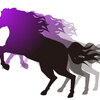 【追い切り注目馬】【水無月S】他　2025/6/8(日) 阪神競馬　この1週前