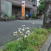 2024年4月末の局めぐりの状況（神奈川）