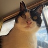 今日は父の日。