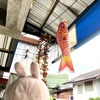 チェンマイに住んでみて分かった！タイの”ヘェ～そうなんだΣ(･ω･ﾉ)ﾉ！”６選