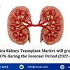 North America Kidney Transplant Market, Size, Share, Growth, Forecast 2023 – 2028 | Renub Research