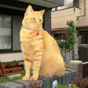 今日の門番はカノンです